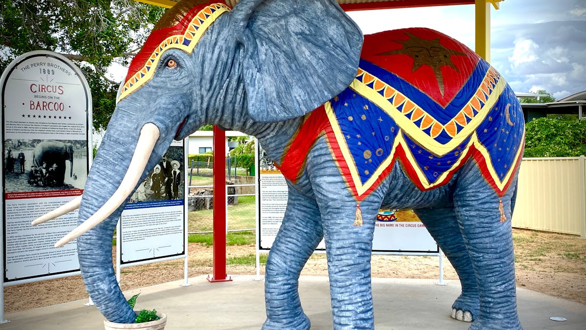 circus elephant in Blackall