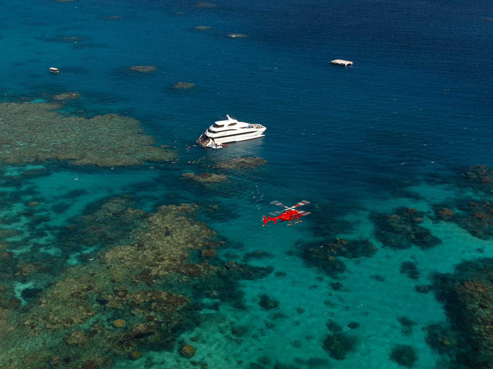 Reef Scenic Helicopter Flight at Hastings Reef Reef Scenic Helicopter Flight at Hastings Reef