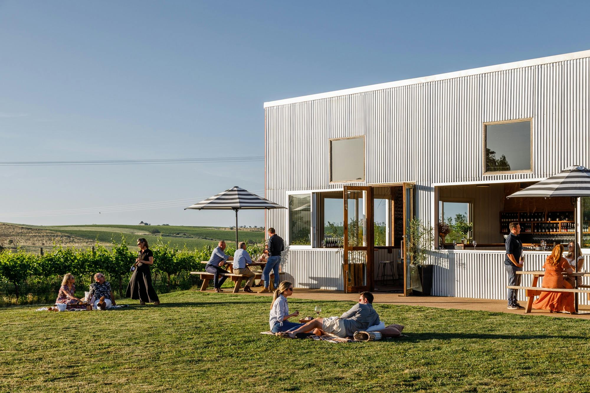 Alfresco wine tasting  experience