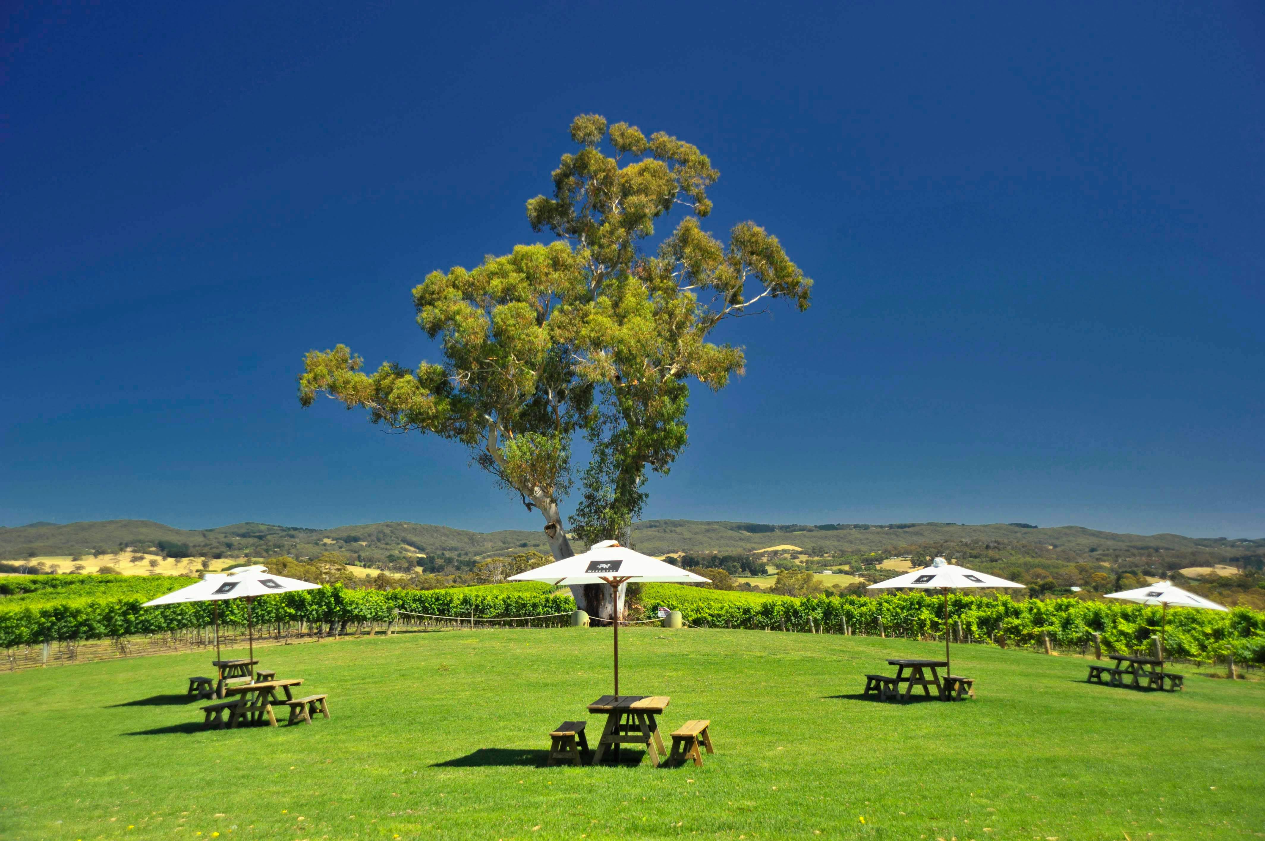 Adelaide Hills Winery