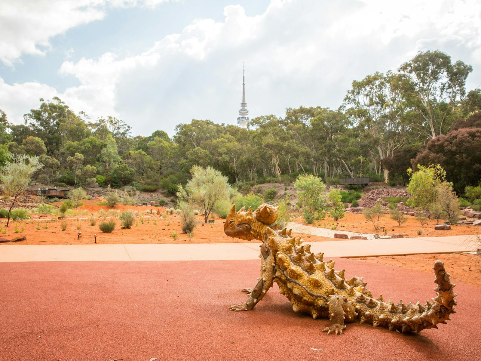 Red Centre Garden