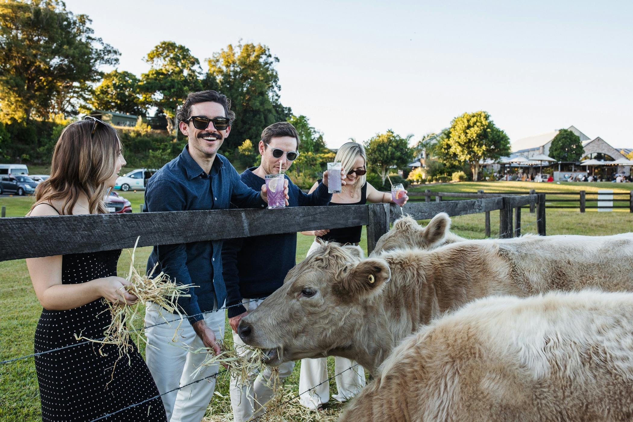 Northern Rivers Farm Gate Trail