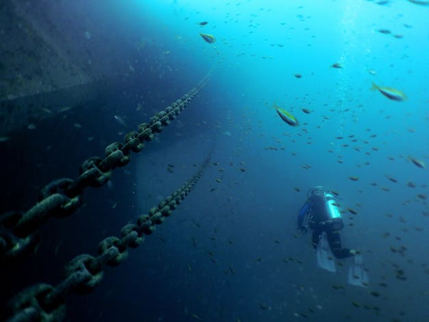 Hervey Bay Dive Centre