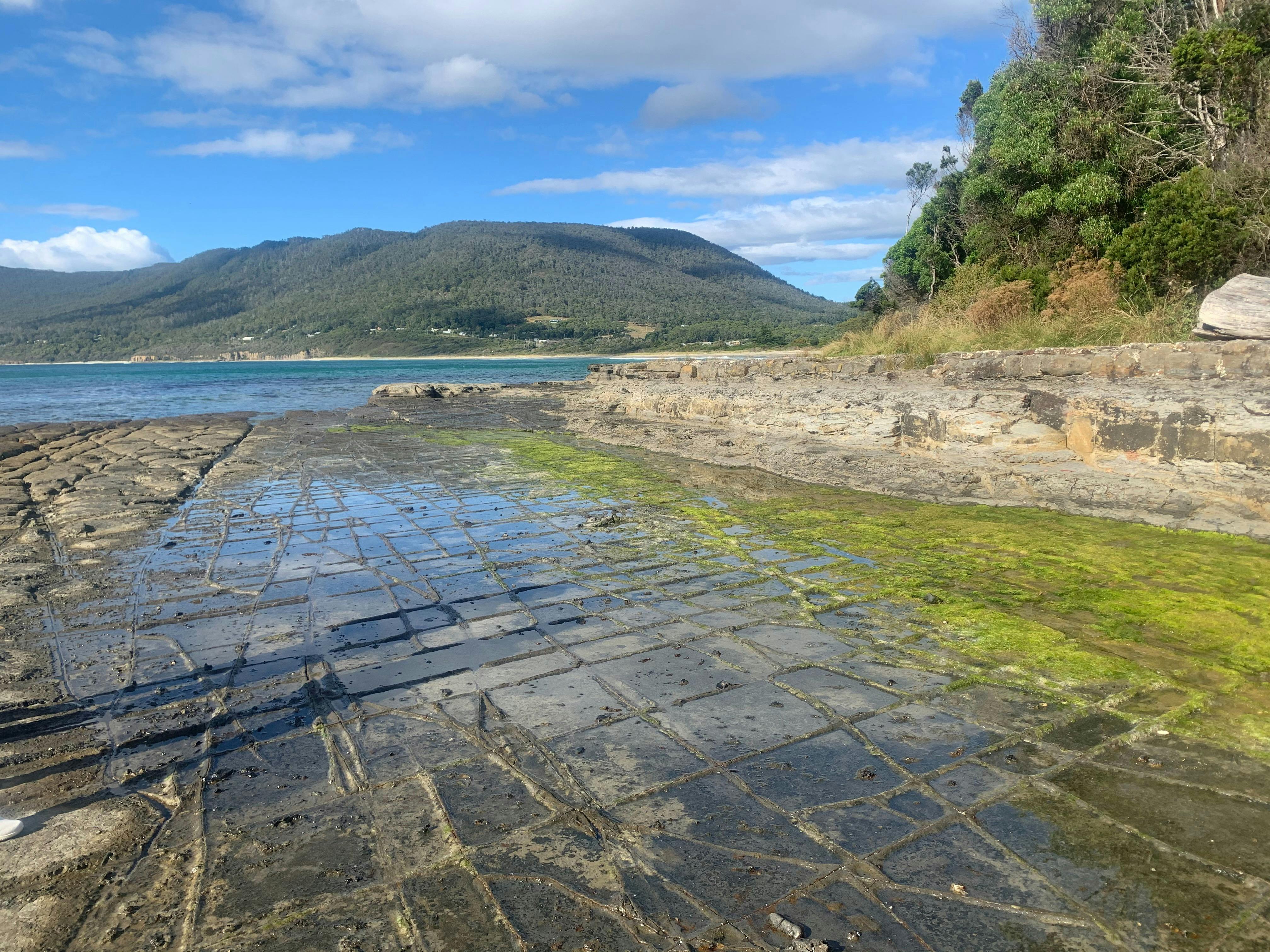 Tessellated Pavement