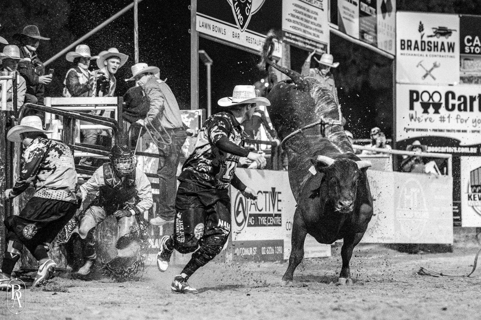 Image for Bucking Bulls Australia Yass River Co Classic