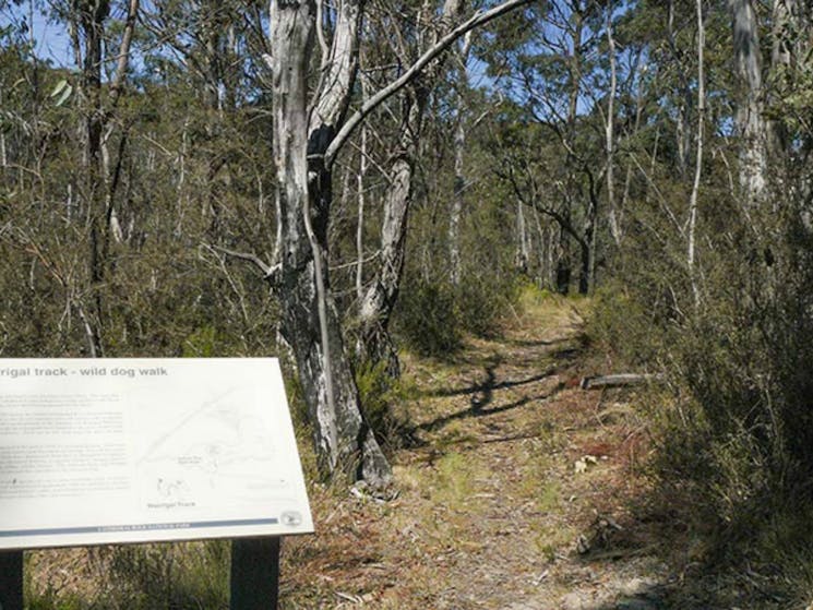 Warrigal walking track