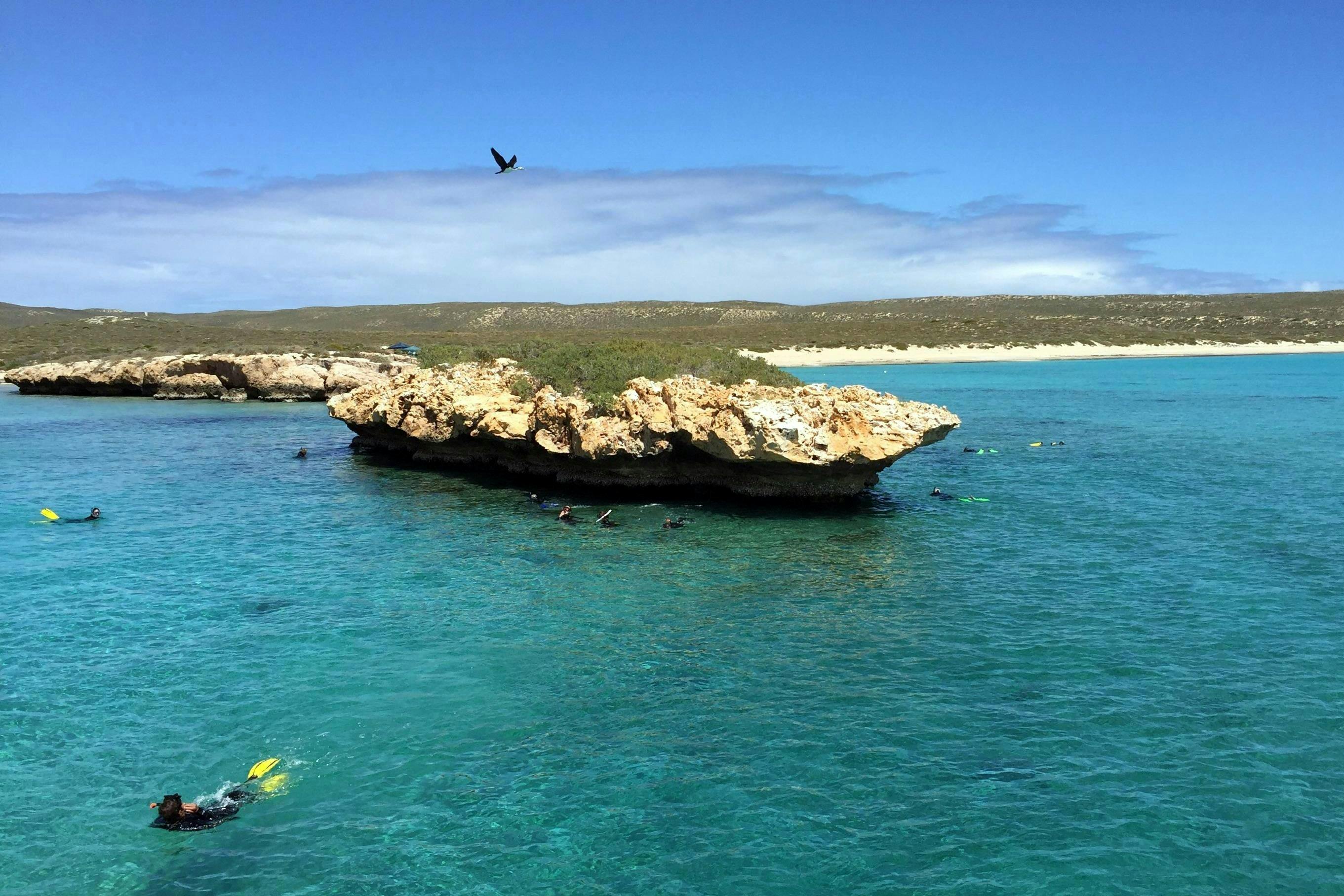 Shark Bay Dive and Marine Safaris, Shark Bay, Western Australia
