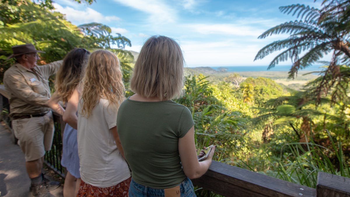 Daintree Rainforest - Alexandra Range Lookout
