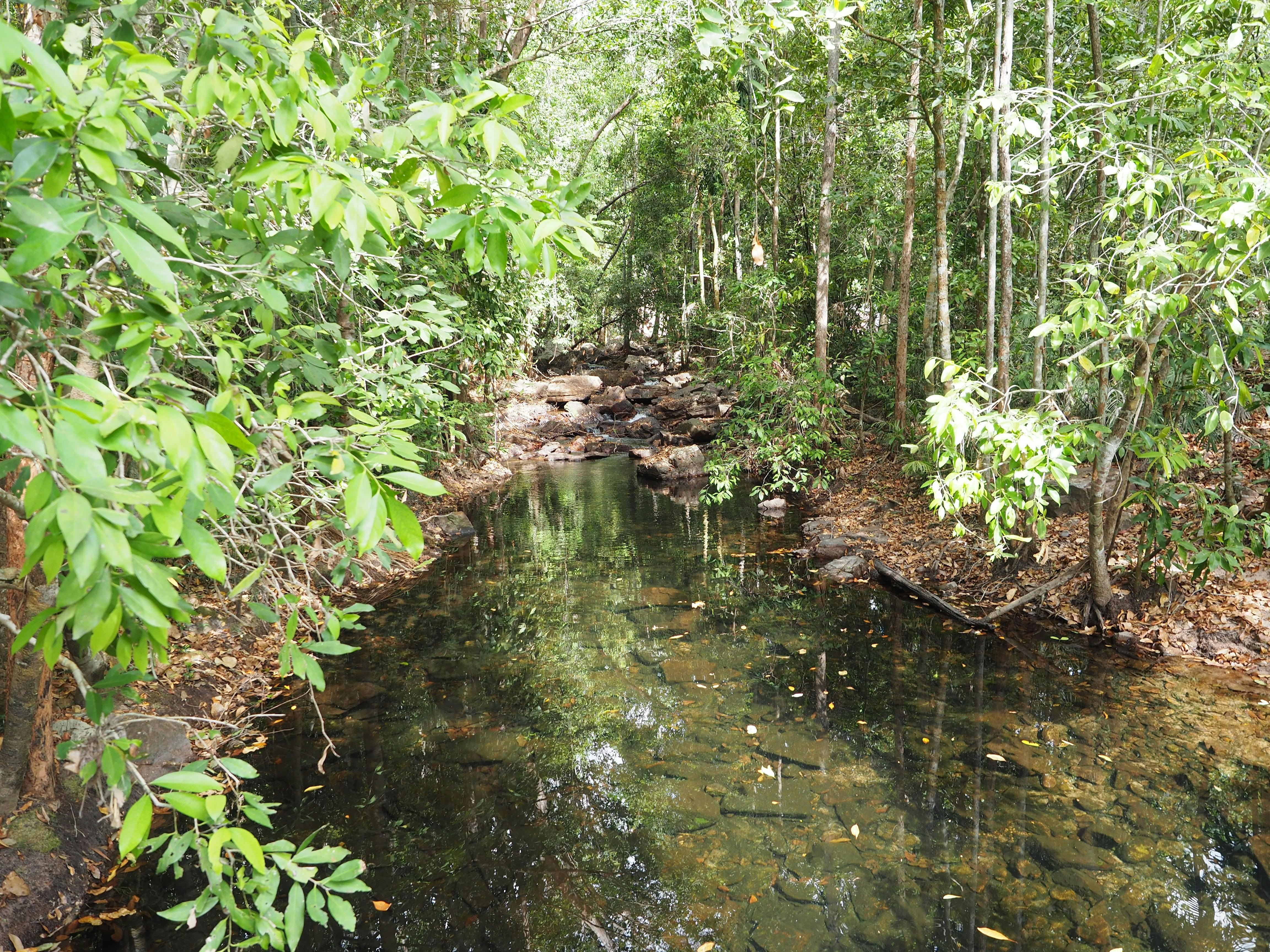 Litchfield National Park