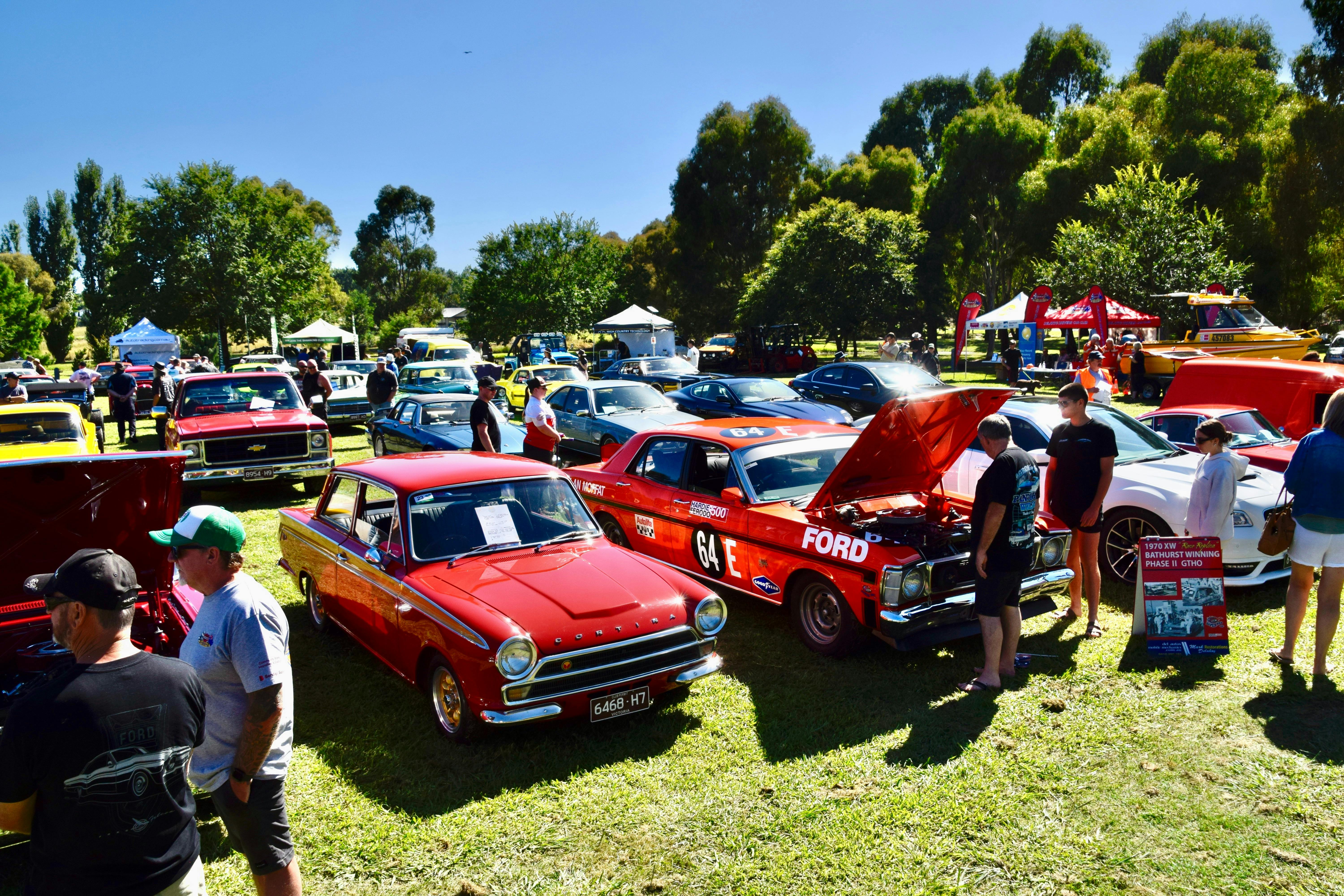 lots of cars on show
