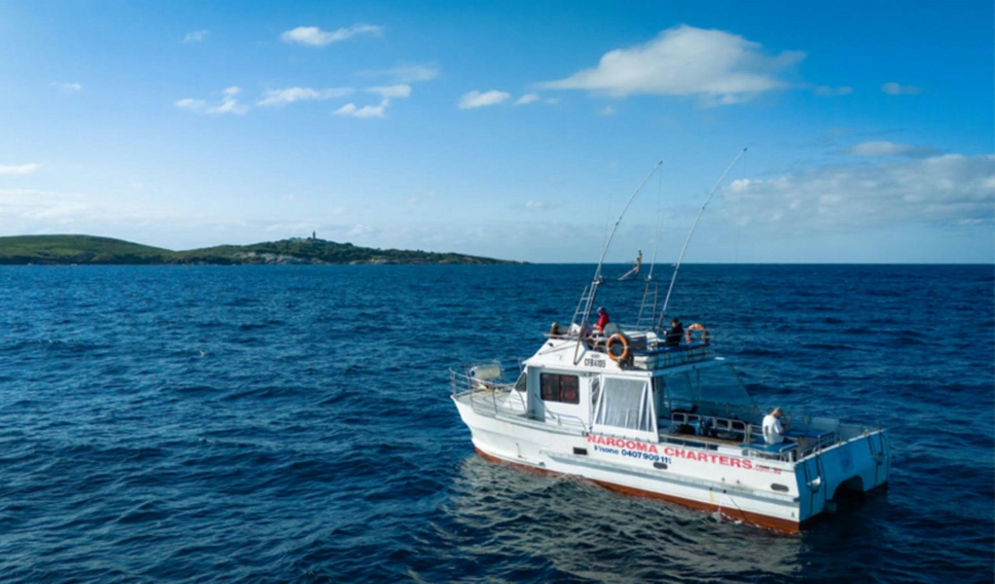Barunguba Montague Island cruise and tour
