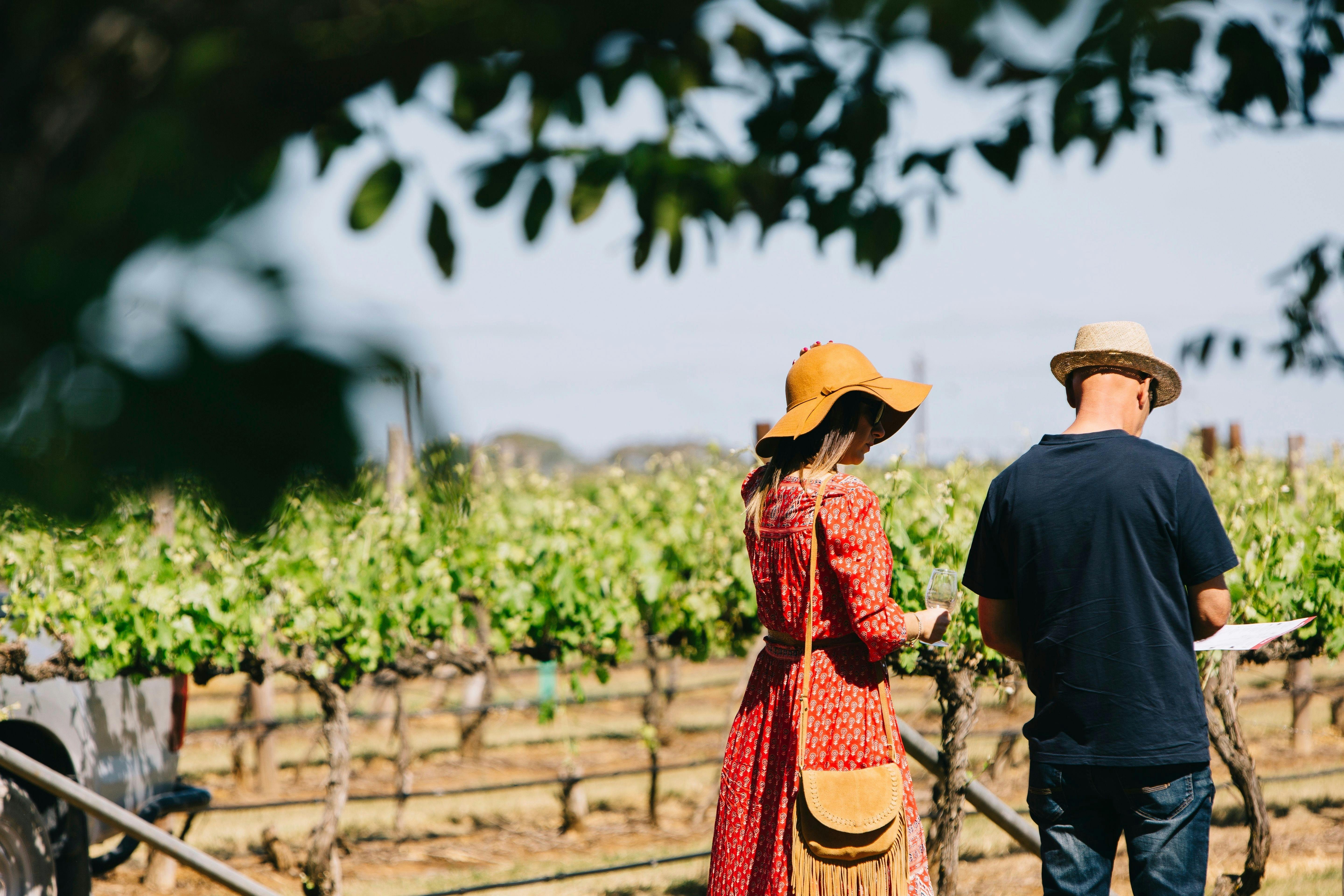 Couple walking in Coonawarra Vineyards