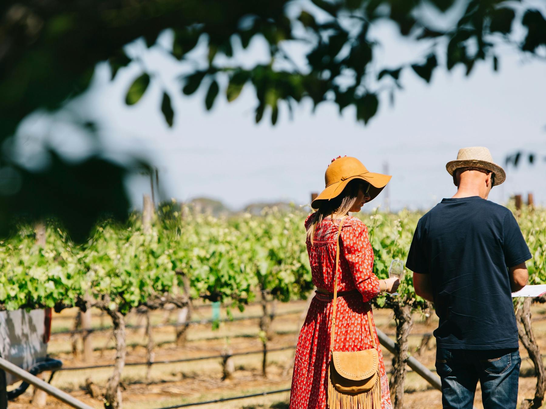 Couple walking in Coonawarra Vineyards