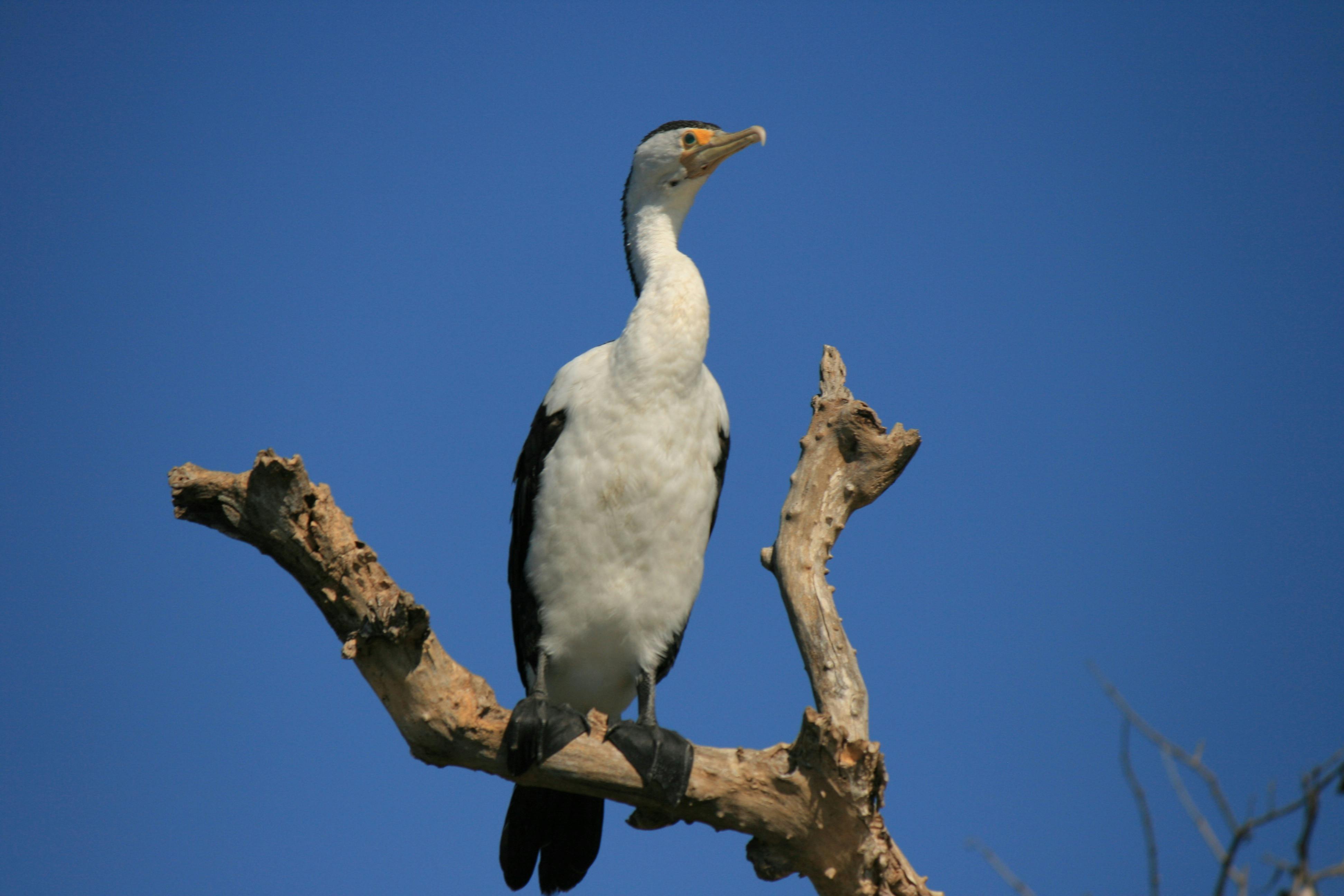 Deluxe 4WD Tailor Made Touring