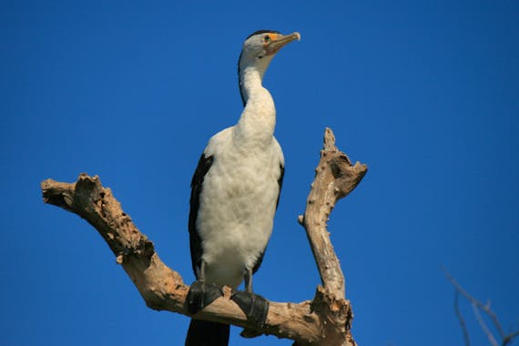 Deluxe 4WD Tailor Made Touring