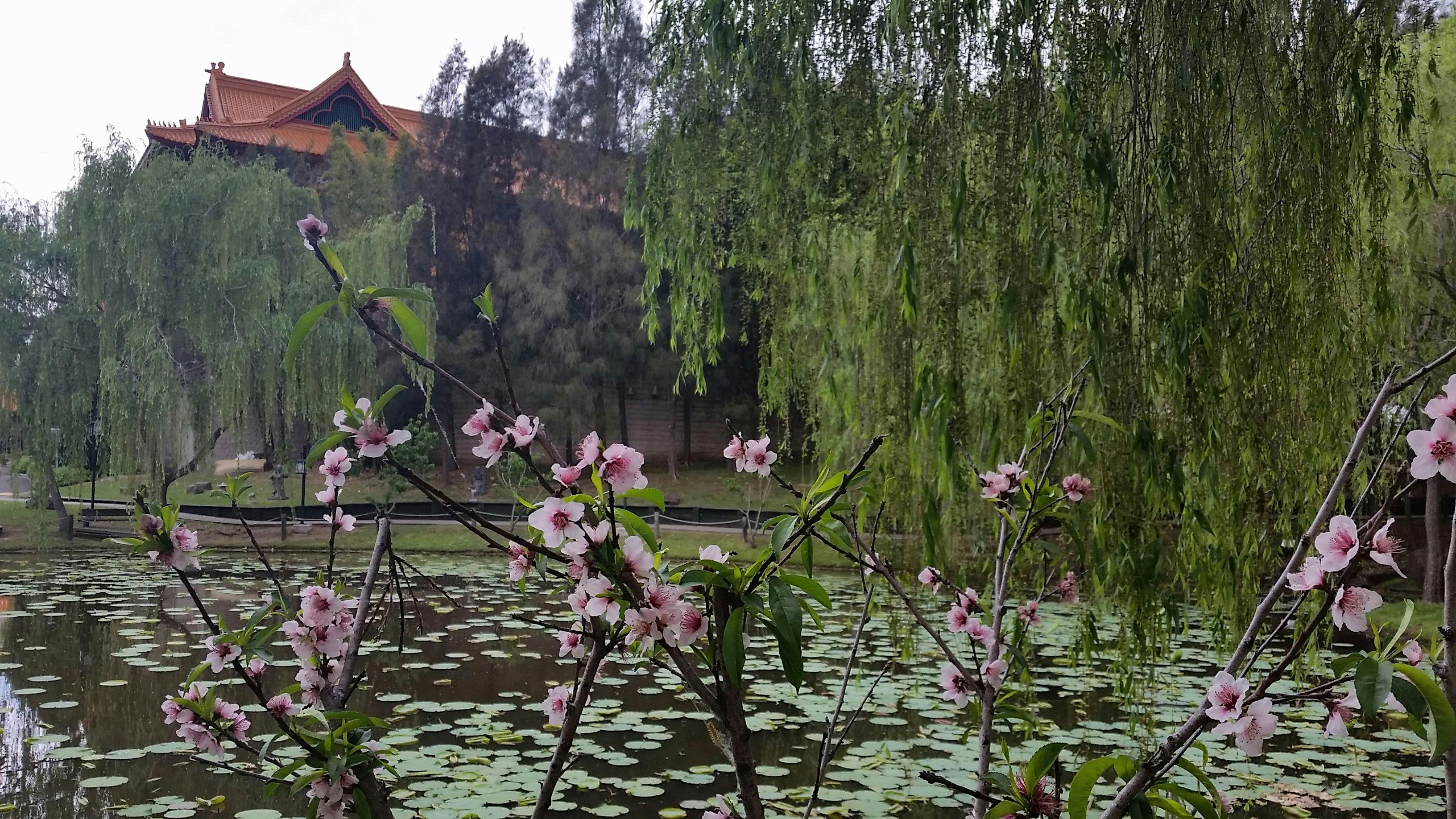 view at Nan Tien Buddhist Temple
