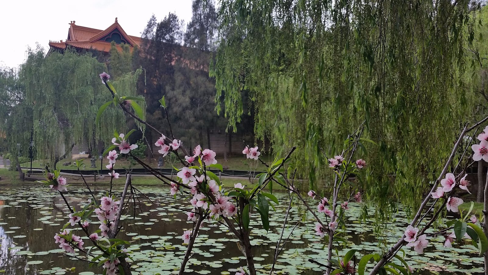view at Nan Tien Buddhist Temple