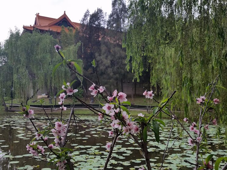 view at Nan Tien Buddhist Temple
