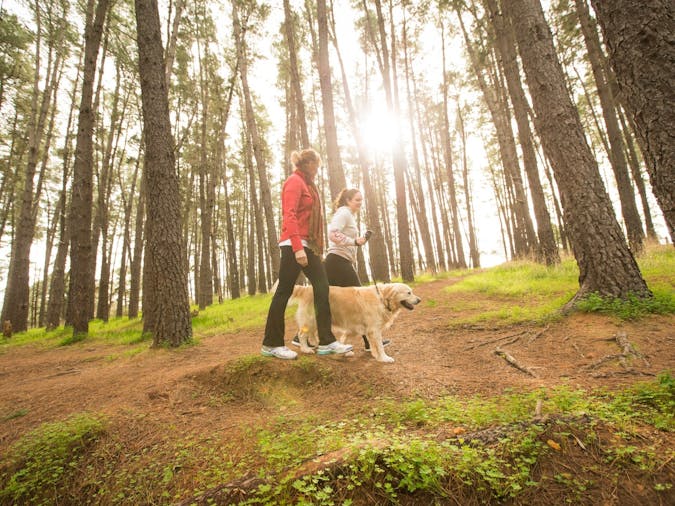 Blackwood Forest Recreation Park