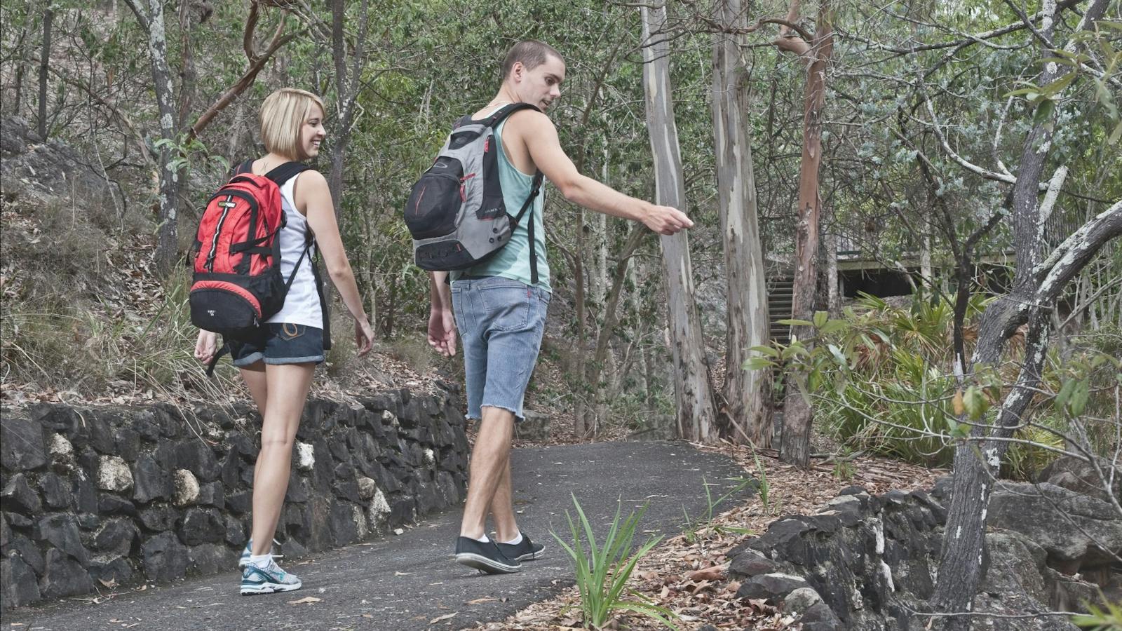 Denmark Hill Conservation Park Trails