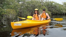 Couple enjoying the smooth waters of the Myall River by kayak