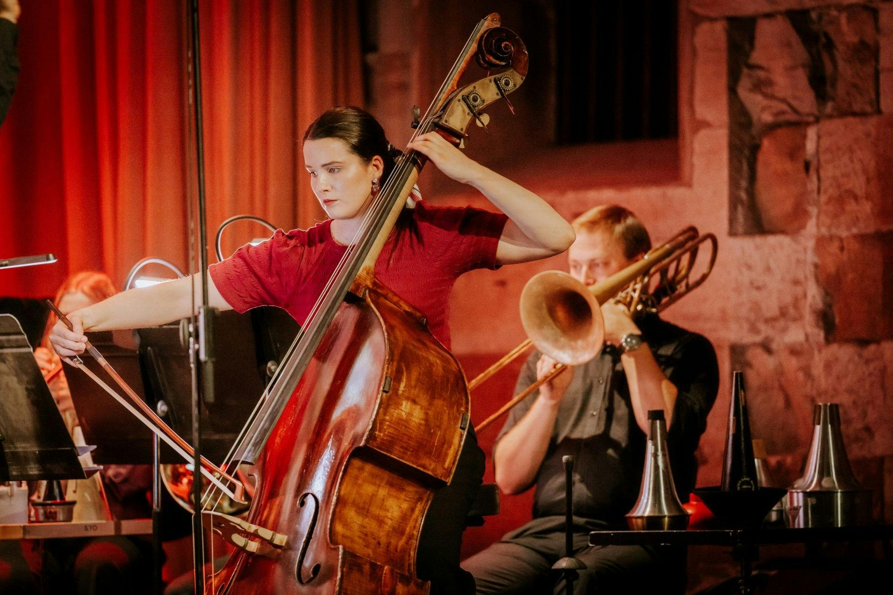 Group of orchestral musicians