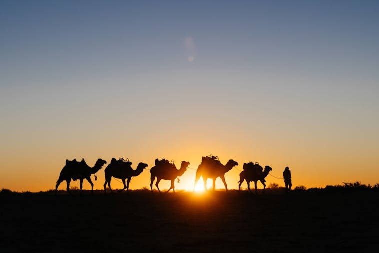 July 18th 22nd 2022 4Day 4Night Camel Trek