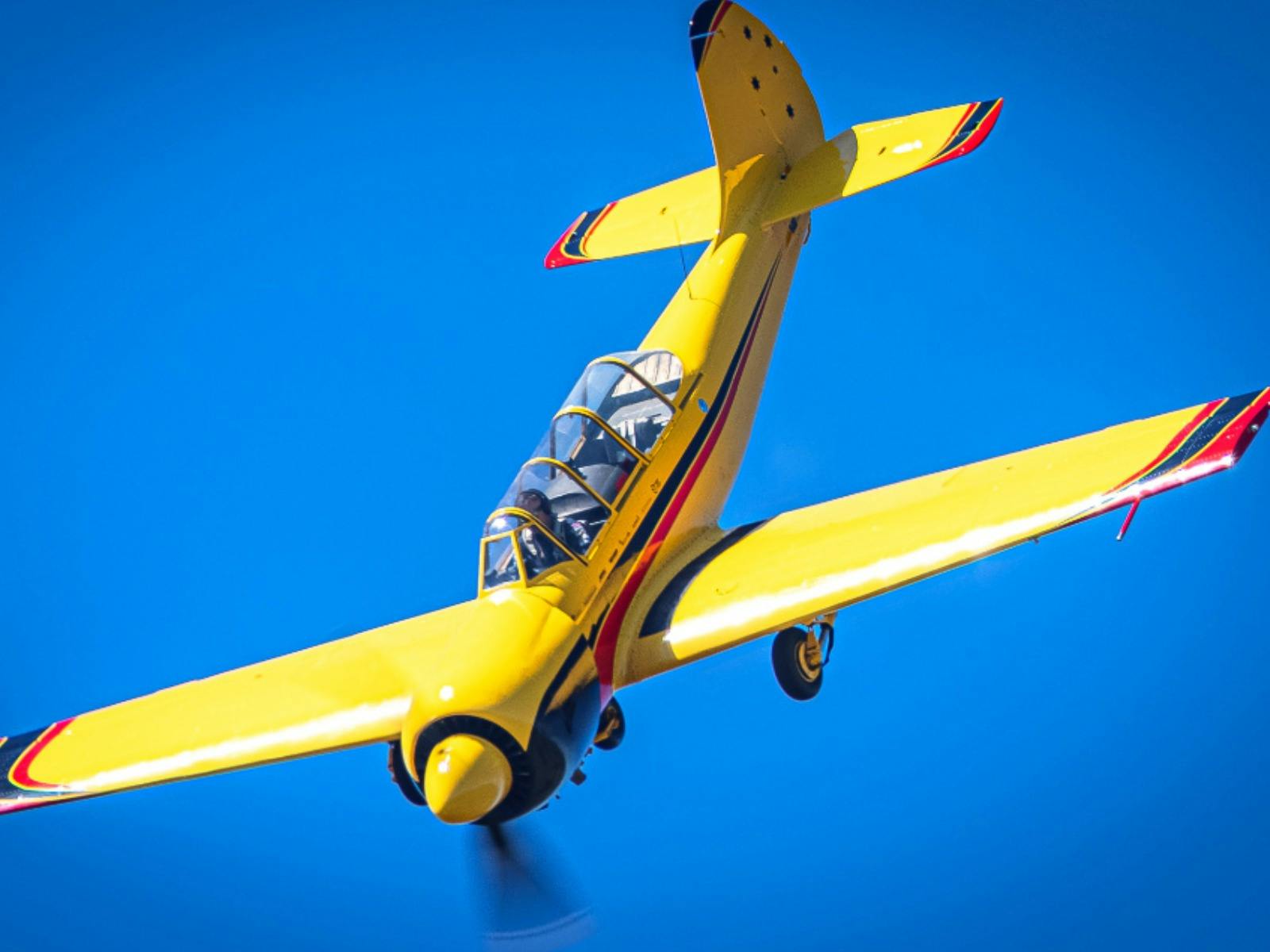 Aerohunter