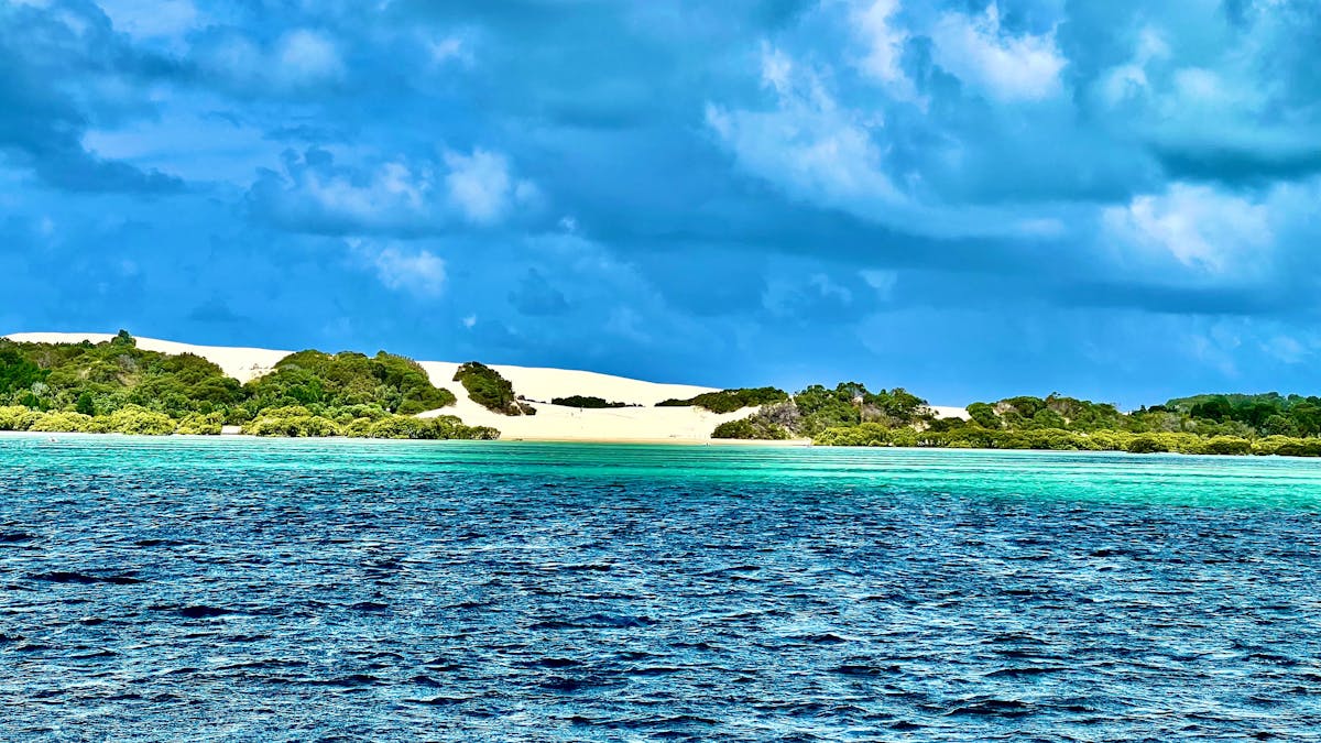 Moreton Island - Sandhills