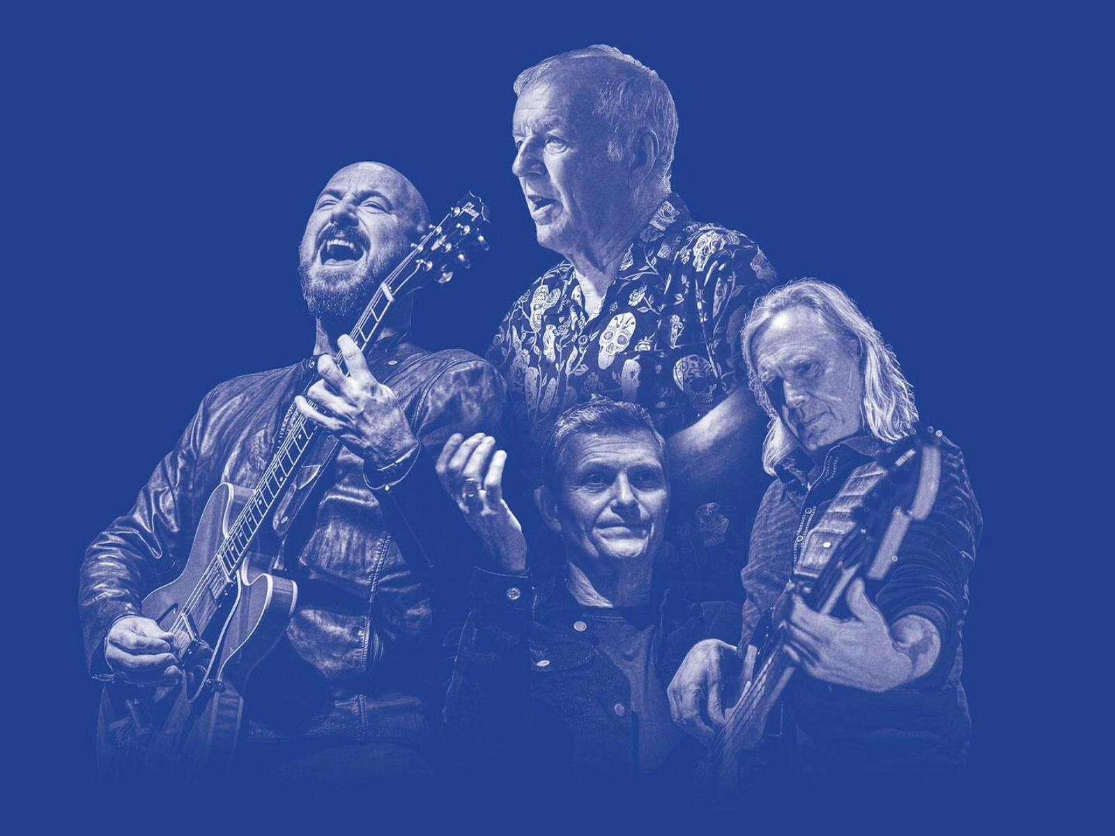 The Animals (UK)