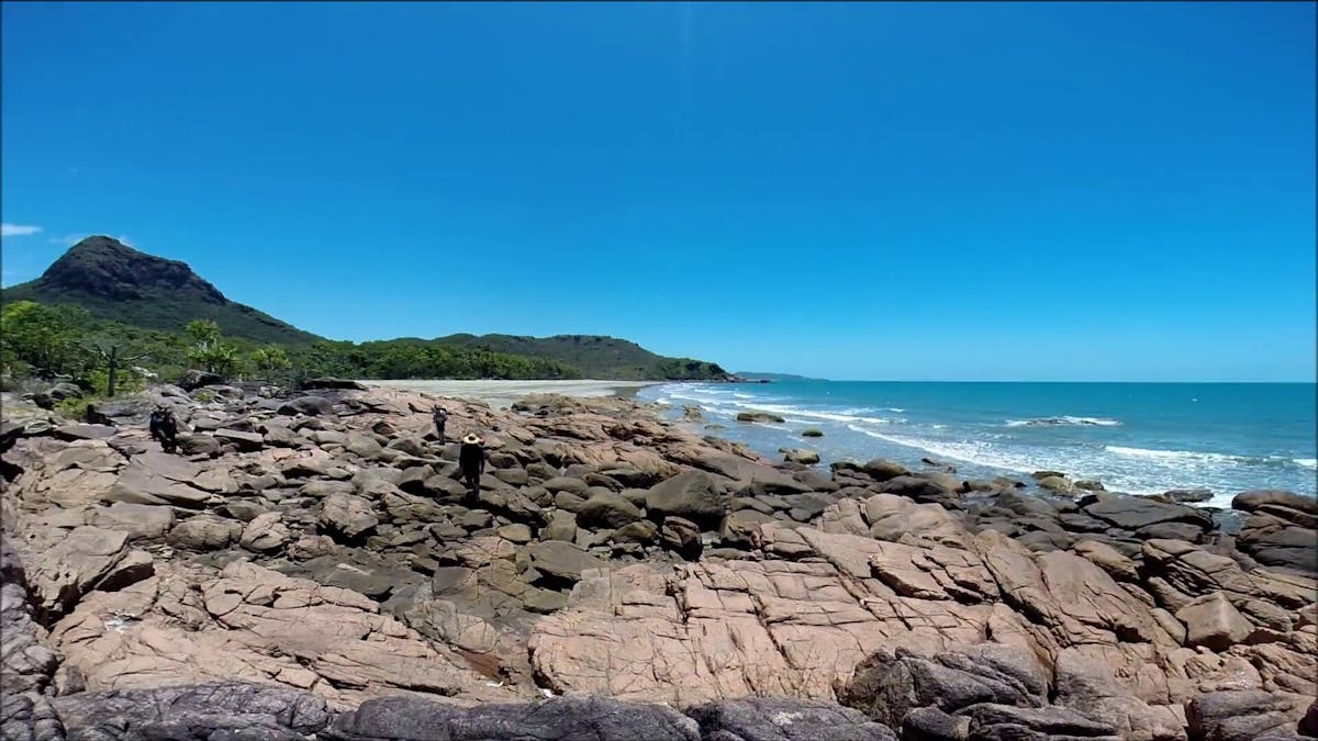 Part of the Thorsborne Trail, Hinchinbrook Island