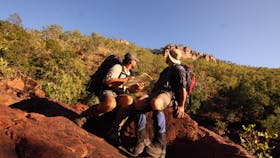 Gecko_Canoeing_and_Trekking_Kakadu