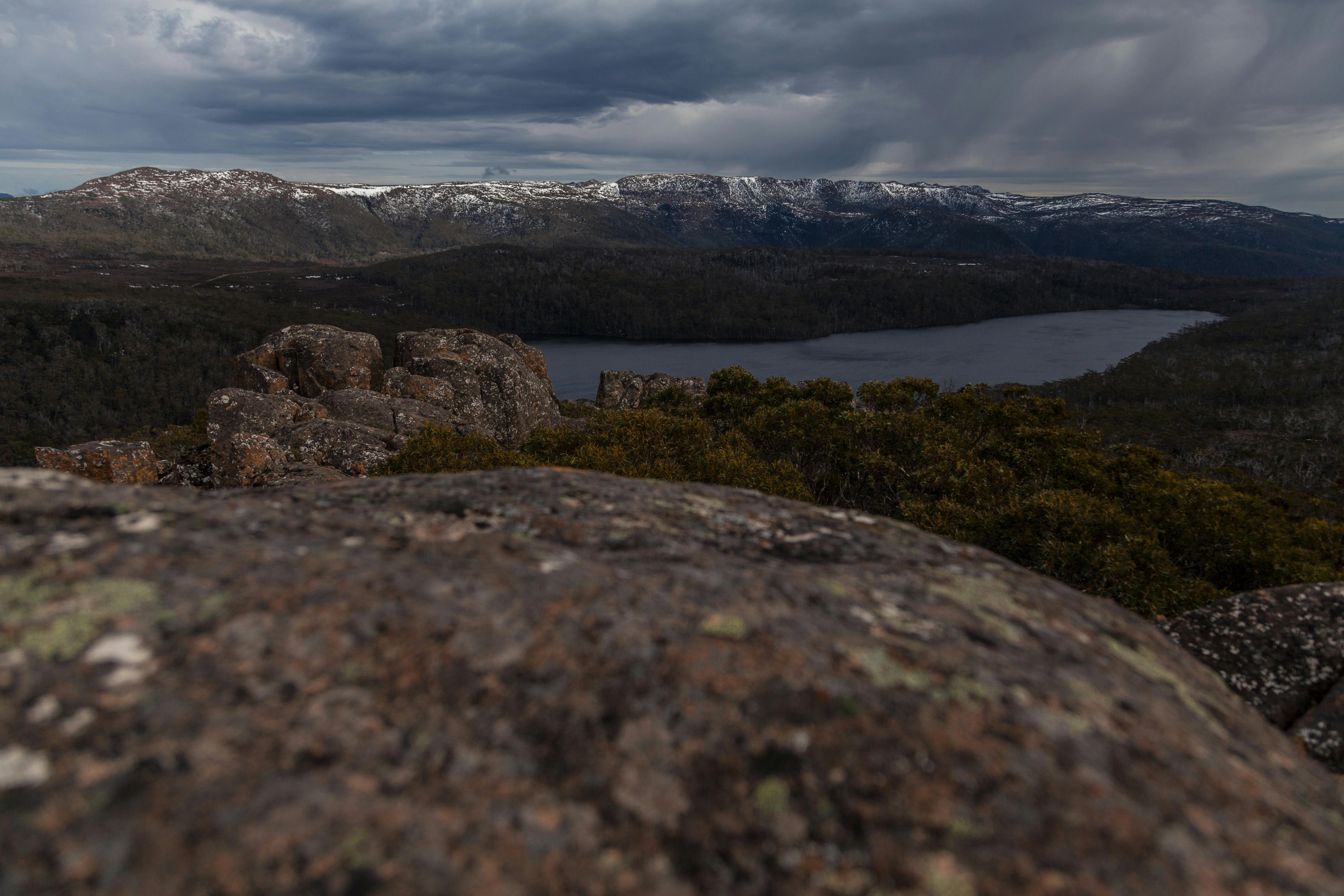 Mount Field East via Lake Nicholls