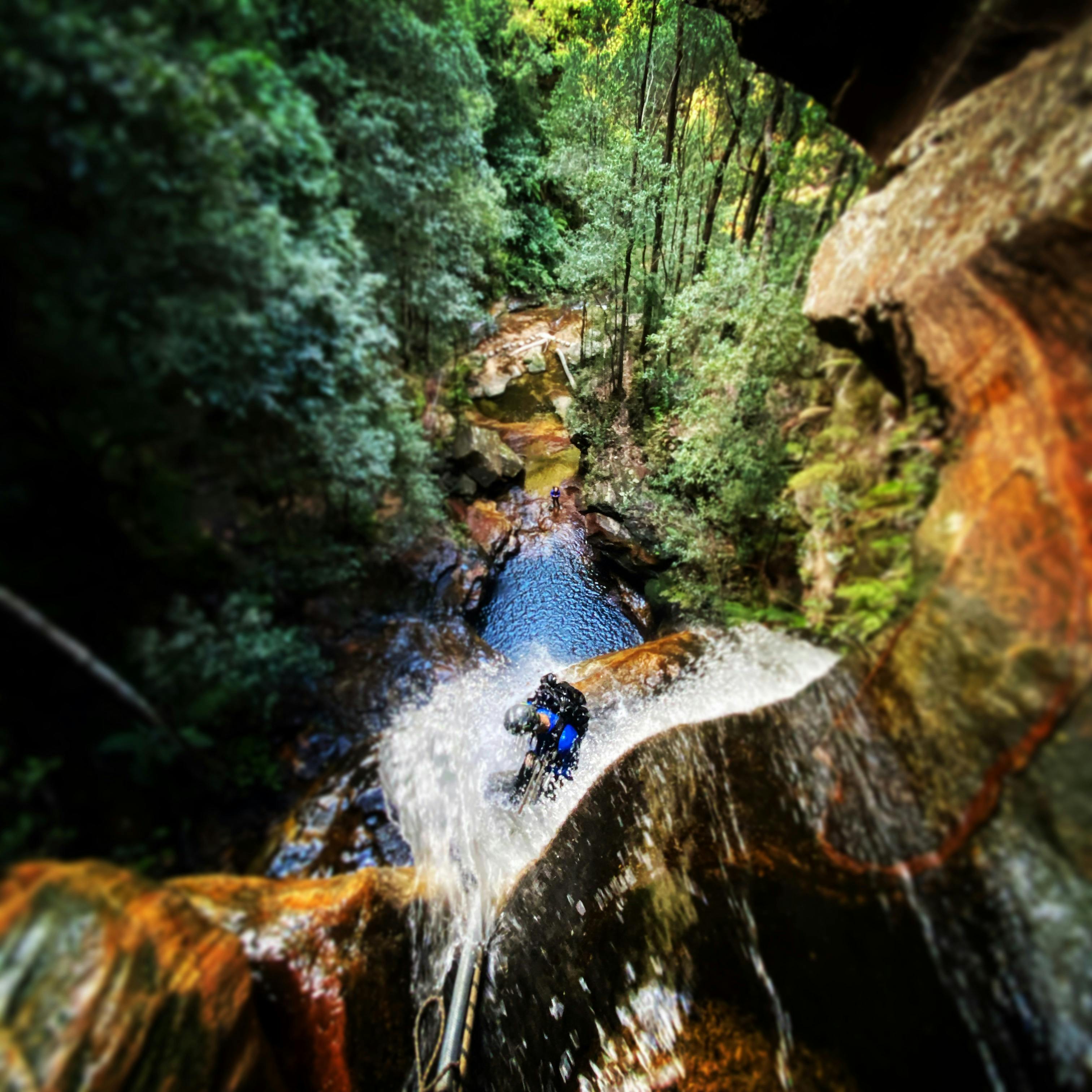 애브세일러 엠프레스 캐년