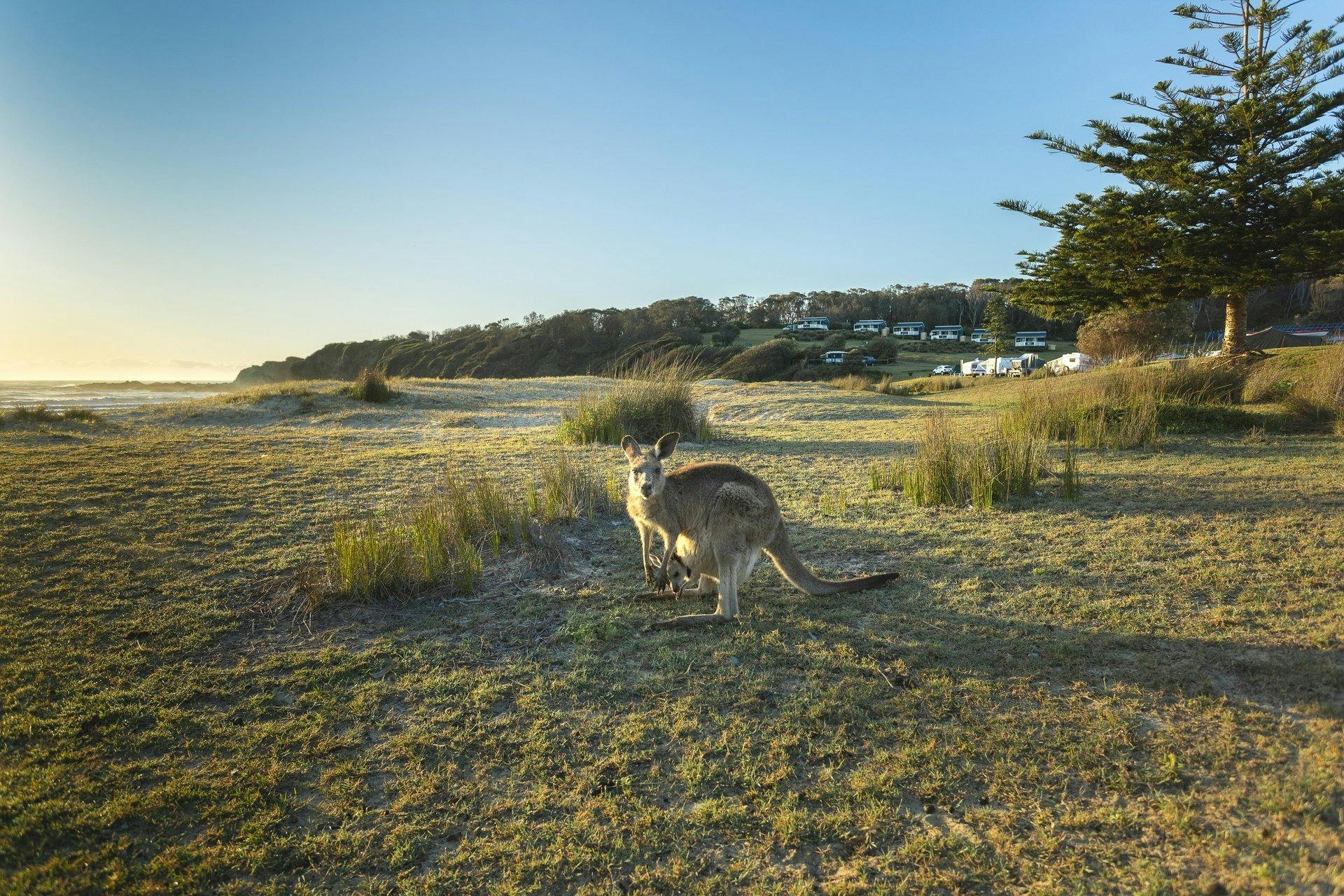 Dalmeny to Potato Point via Lake Brou