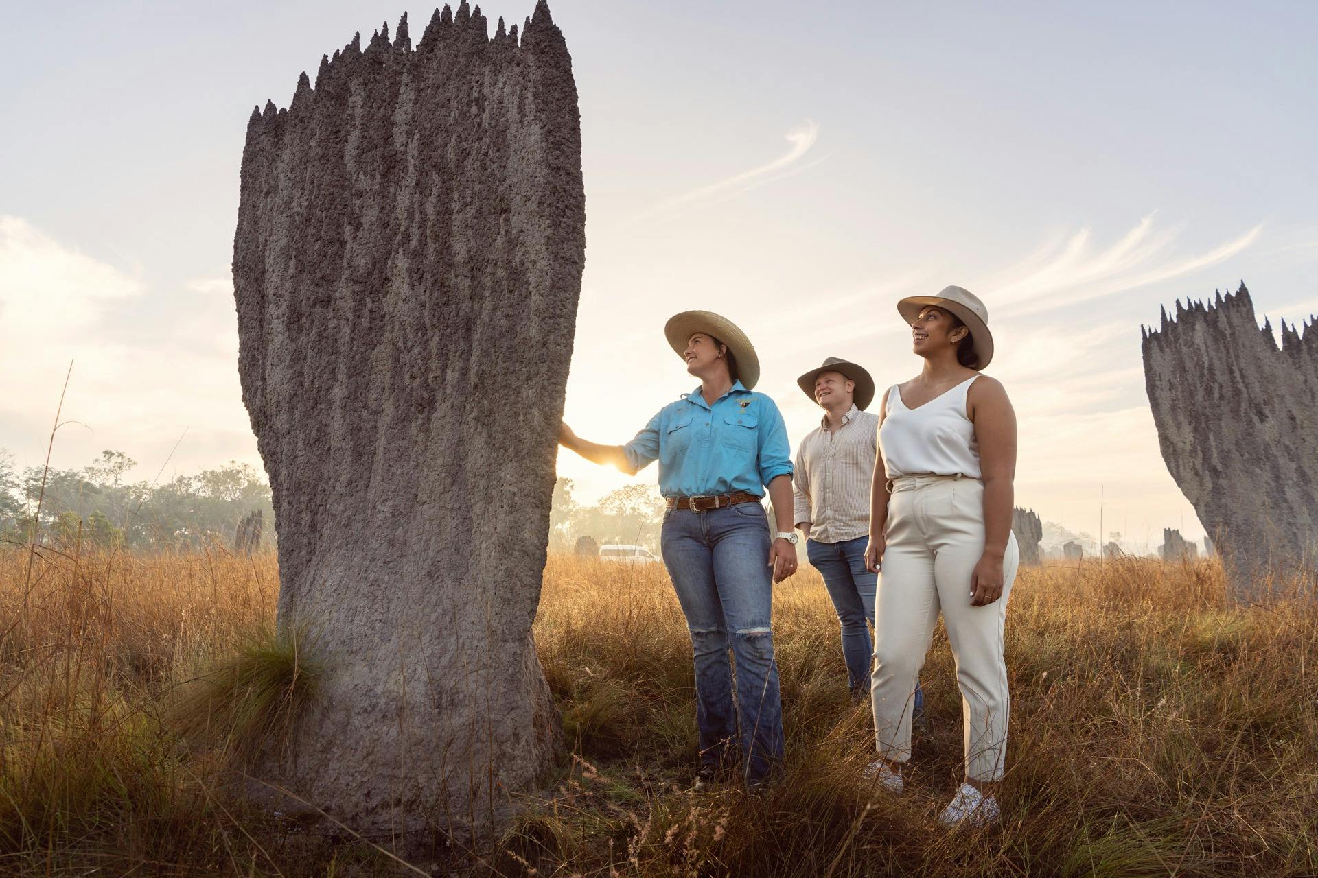 Giant Termite Mounds