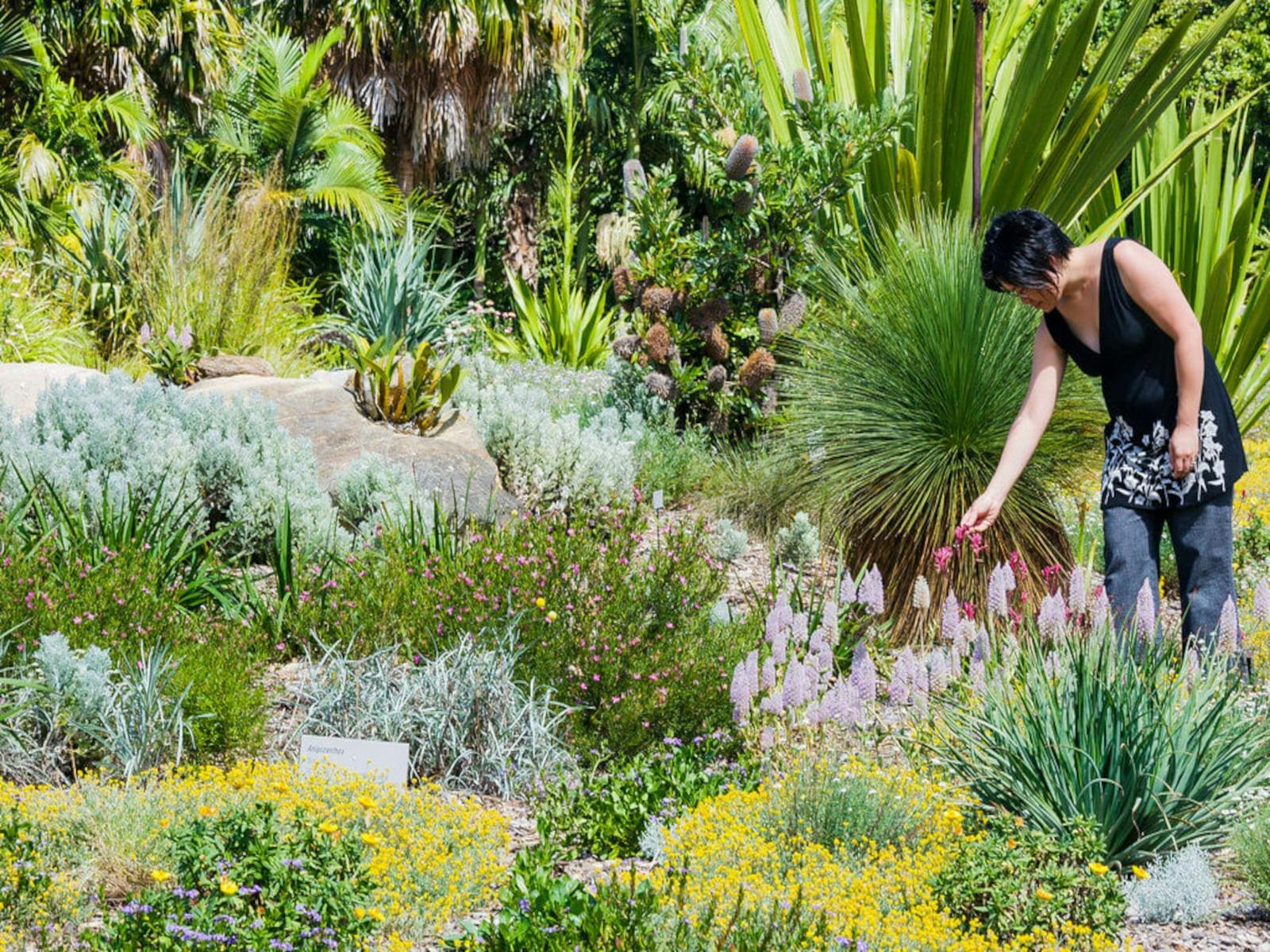 Connections Garden Tour