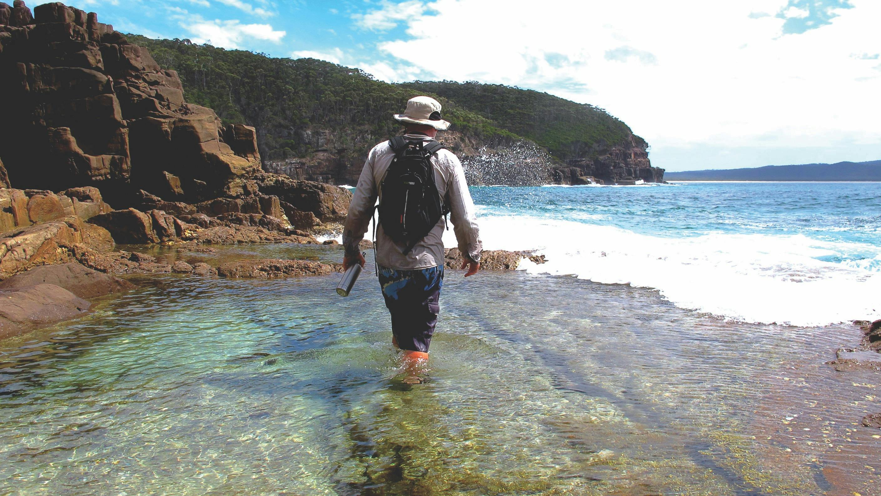 Nadgee Wilderness Walk, Nadgee Nature Reserve, Sapphire Coast, Walks