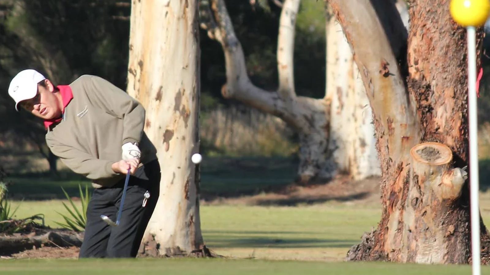 Image for Victorian Women's and Men's Par Three Championships