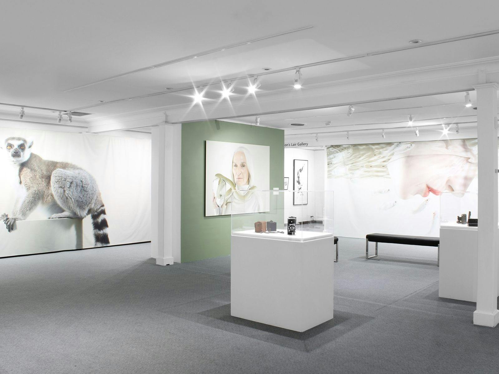 Petrina Hicks exhibition