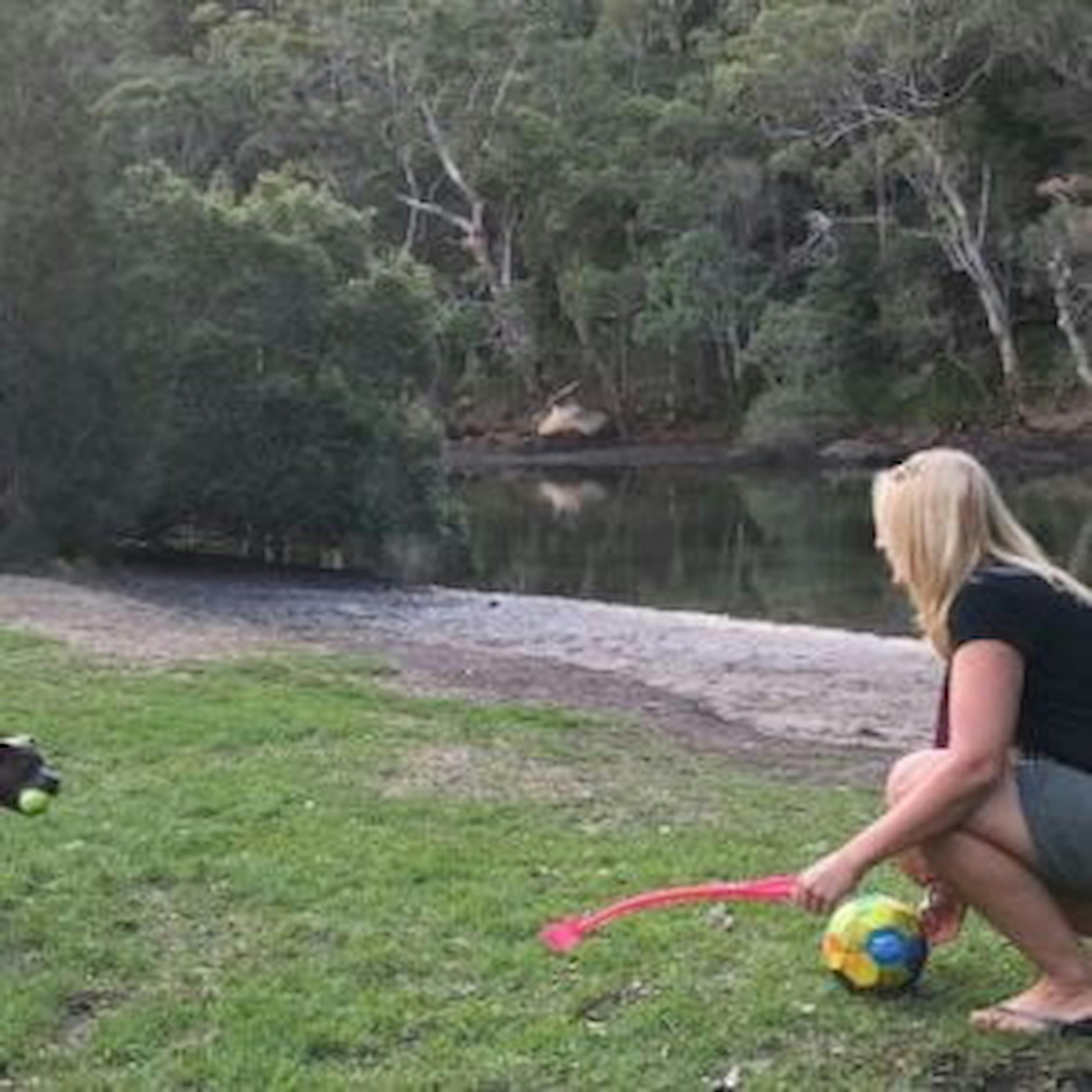 Dog Area McCarrs Creek Road