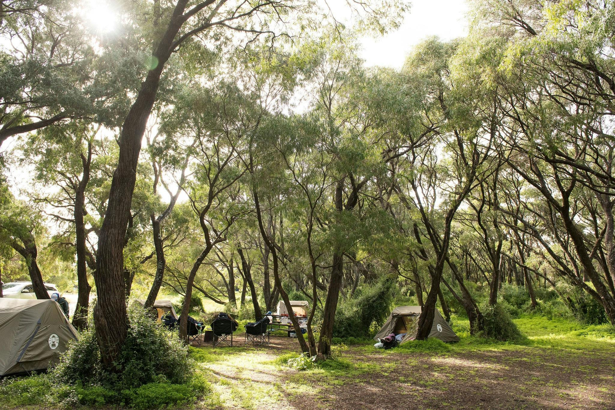 Morning time at camp