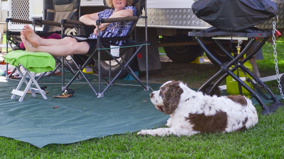 Dog Friendly Sites