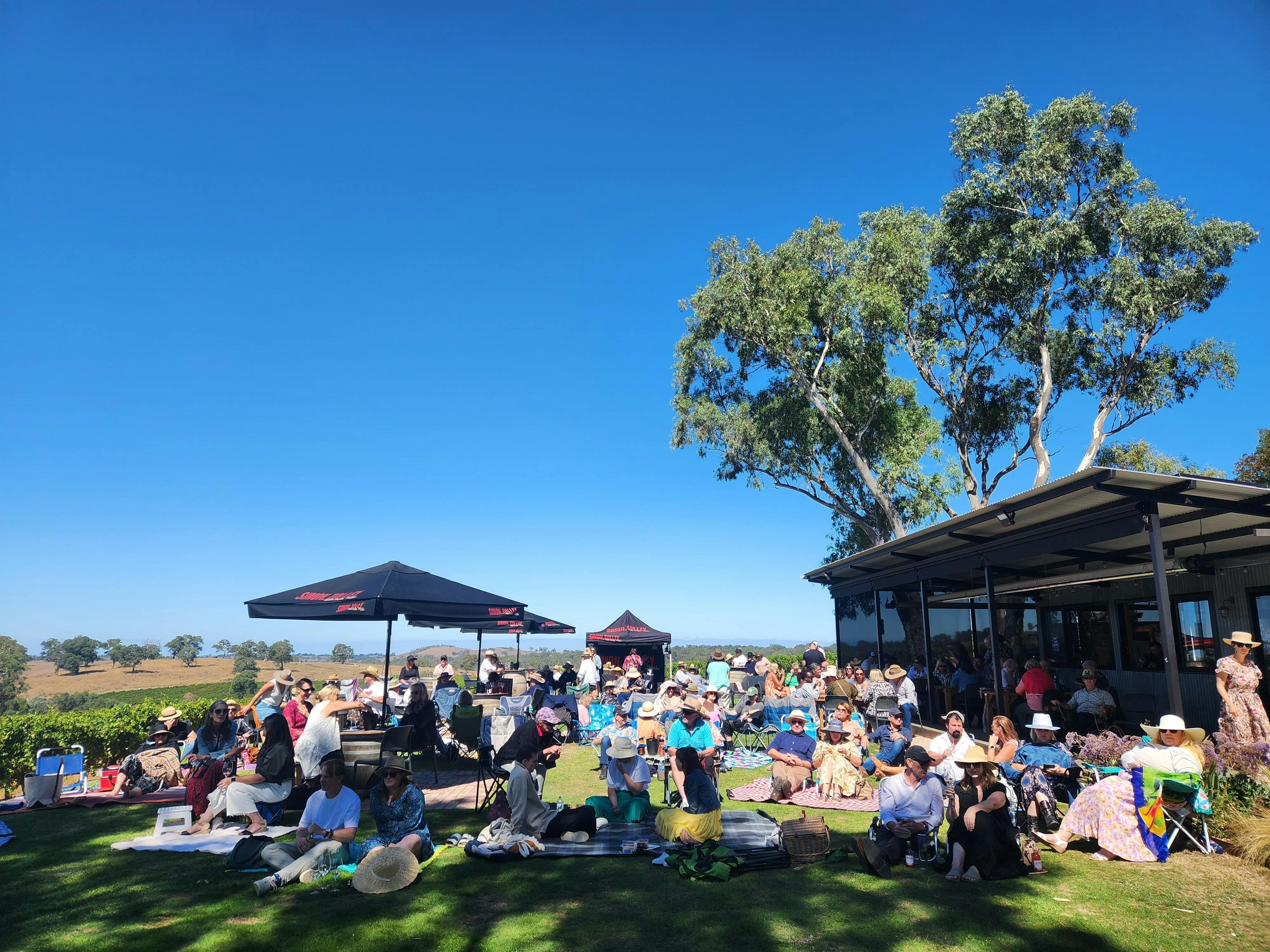 Simon Tolley Cellar Door: Savvy Beats