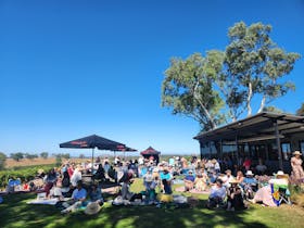 Simon Tolley Cellar Door: Savvy Beats