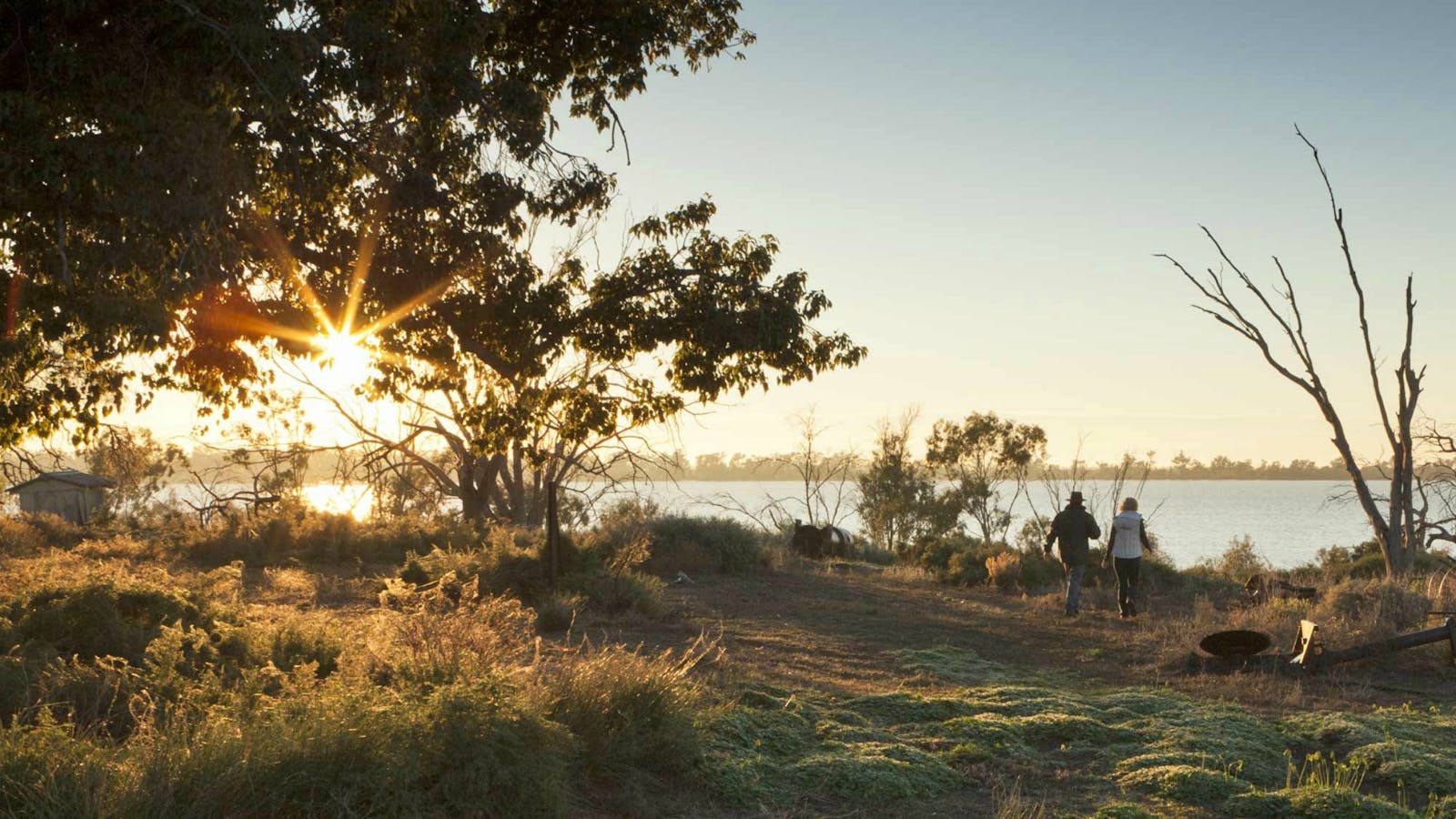 Yanga Lake Walking Track