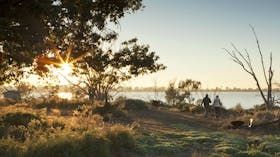 Yanga Lake Walking Track