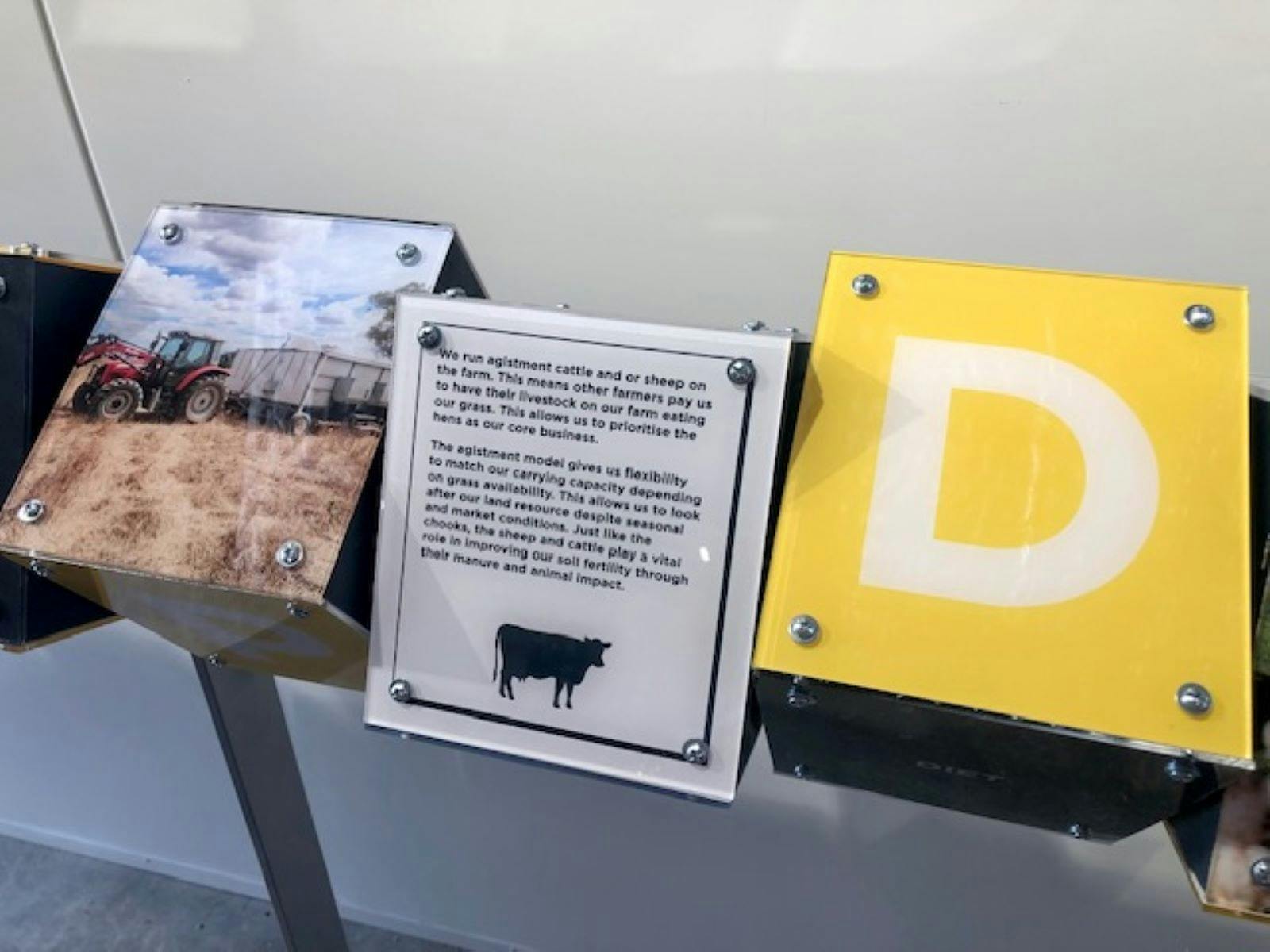 농장 사진과 계란에 대한 정보가 담긴 3개의 대화형 패널의 클로즈업