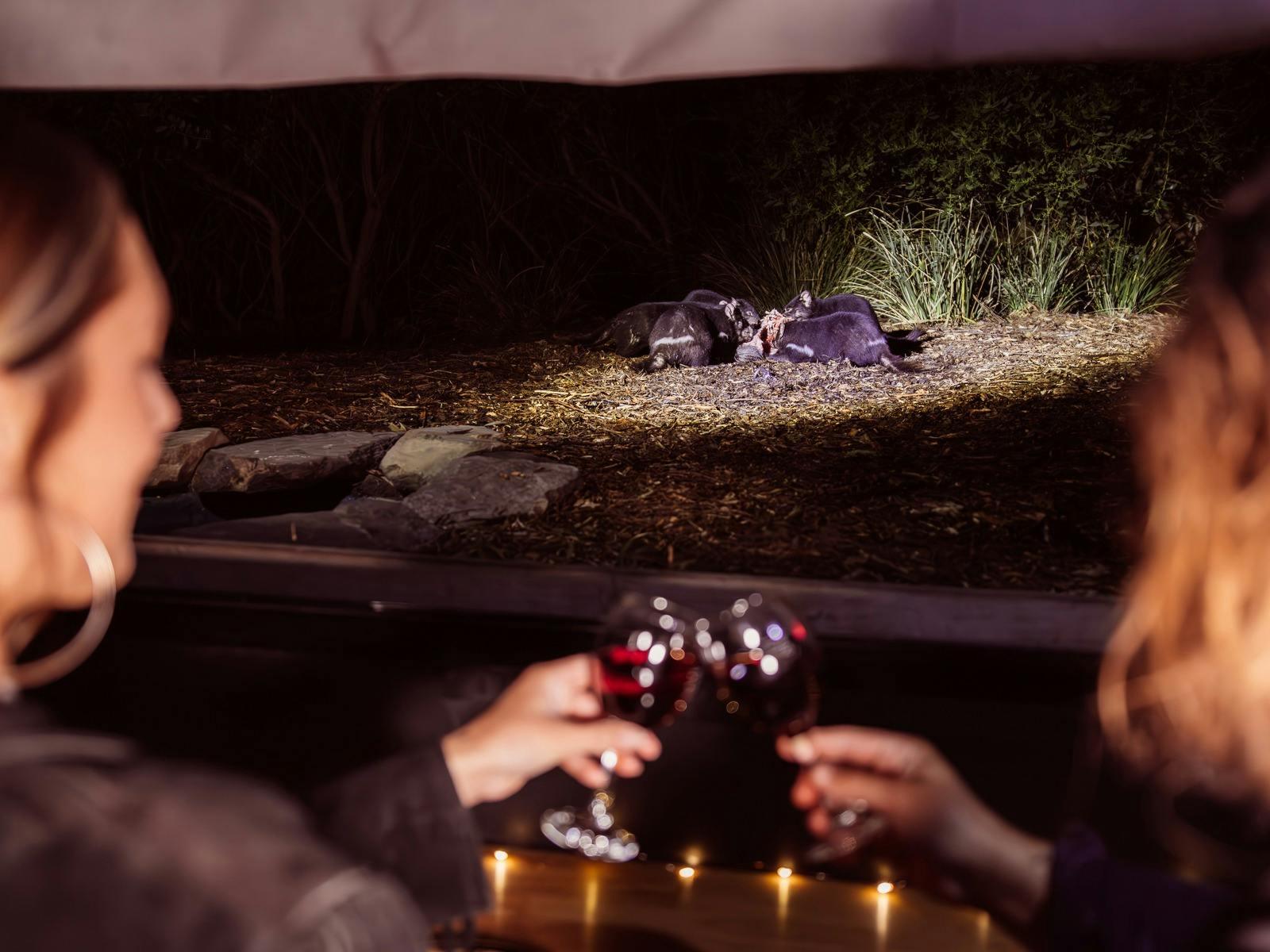 Devils in the dark tour image