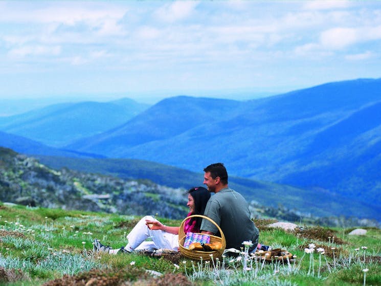 Mountains and Wildflowers